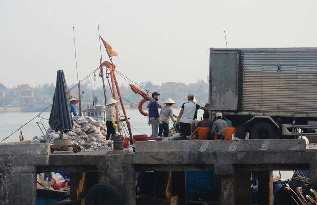 Cảnh mua bán cá tấp nập tại cảng cá Sông Gianh.(Ảnh: Giao Thông)